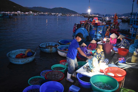 Cảng cá giữ an toàn trong mùa dịch - Ảnh 1. Cảng cá giữ an toàn trong mùa dịch - Ảnh 1.