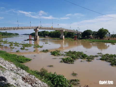Mực nước các sông ĐBSCL đang lên, đỉnh lũ có thể cuối tháng 9 - Ảnh 2. Mực nước các sông ĐBSCL đang lên, đỉnh lũ có thể cuối tháng 9 - Ảnh 2.