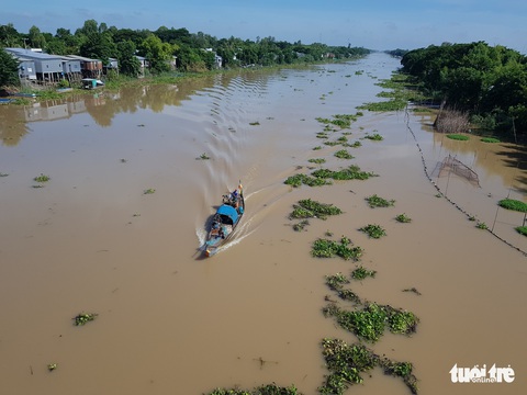 Mực nước các sông ĐBSCL đang lên, đỉnh lũ có thể cuối tháng 9 - Ảnh 1. Mực nước các sông ĐBSCL đang lên, đỉnh lũ có thể cuối tháng 9 - Ảnh 1.
