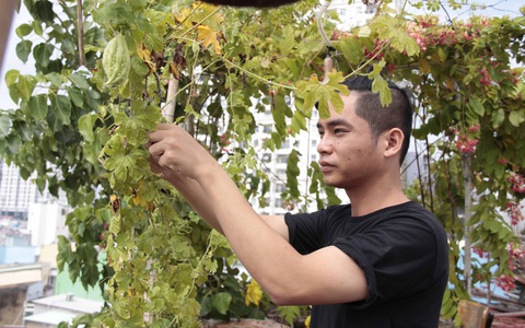 Thư viện lưu trữ hạt giống - Ảnh 1. Thư viện lưu trữ hạt giống - Ảnh 1.