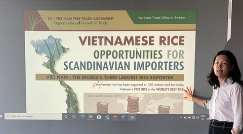 Thêm cơ hội xuất khẩu gạo Việt sang Thụy Điển từ EVFTA - Ảnh 1. Thêm cơ hội xuất khẩu gạo Việt sang Thụy Điển từ EVFTA - Ảnh 1.