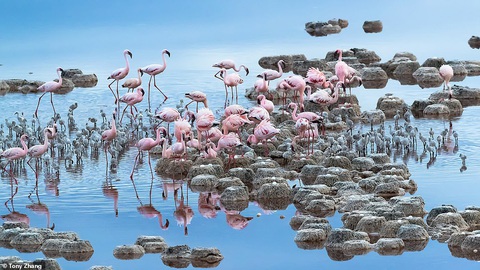 Mùa dịch ở nhà và ngắm thế giới tươi đẹp qua ống kính National Geographic Traveller - Ảnh 6. Mùa dịch ở nhà và ngắm thế giới tươi đẹp qua ống kính National Geographic Traveller - Ảnh 6.