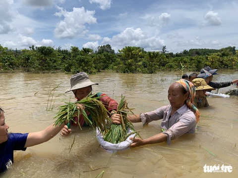 Hồ thủy lợi hơn 11 năm chưa đền bù cho dân sẽ gây ngập 800ha - Ảnh 5. Hồ thủy lợi hơn 11 năm chưa đền bù cho dân sẽ gây ngập 800ha - Ảnh 5.
