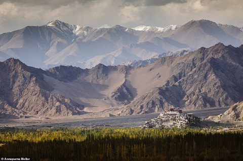 Mùa dịch ở nhà và ngắm thế giới tươi đẹp qua ống kính National Geographic Traveller - Ảnh 10. Mùa dịch ở nhà và ngắm thế giới tươi đẹp qua ống kính National Geographic Traveller - Ảnh 10.