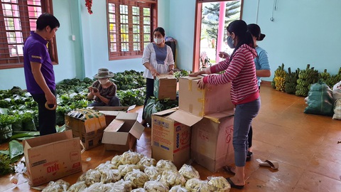 Cậu bé chân trần vác khúc măng rừng gửi miền xuôi chống dịch - Ảnh 7. Cậu bé chân trần vác khúc măng rừng gửi miền xuôi chống dịch - Ảnh 7.