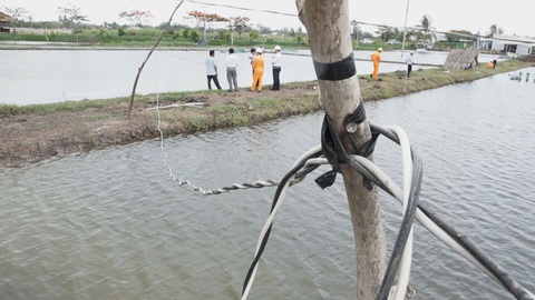 An toàn trong sử dụng điện, phòng tránh tai nạn mùa mưa bão - Ảnh 2. An toàn trong sử dụng điện, phòng tránh tai nạn mùa mưa bão - Ảnh 2.