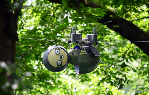 Robot chậm chạp và ‘làm biếng’ nhất nhì thế giới - Ảnh 3. Robot chậm chạp và ‘làm biếng’ nhất nhì thế giới - Ảnh 3.