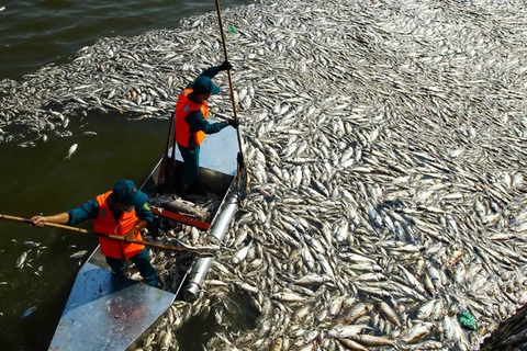 Vợ ông Nguyễn Đức Chung giả chữ ký con trai thành lập công ty bán hóa chất độc quyền cho Hà Nội - Ảnh 1. Vợ ông Nguyễn Đức Chung giả chữ ký con trai thành lập công ty bán hóa chất độc quyền cho Hà Nội - Ảnh 1.