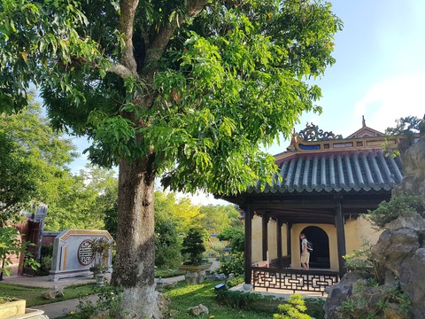 Chuyện chưa kể về cây trái cố đô Huế - Kỳ 1: Những trái cây trác tuyệt tiến cung - Ảnh 3. Chuyện chưa kể về cây trái cố đô Huế - Kỳ 1: Những trái cây trác tuyệt tiến cung - Ảnh 3.