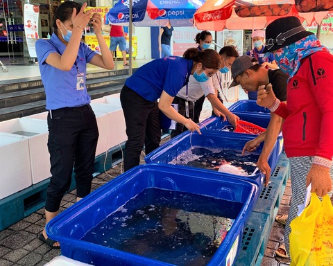 Người nuôi không kham nổi tiền thức ăn, 200ha cá mú bị bỏ đói, chờ giải cứu - Ảnh 2. Người nuôi không kham nổi tiền thức ăn, 200ha cá mú bị bỏ đói, chờ giải cứu - Ảnh 2.