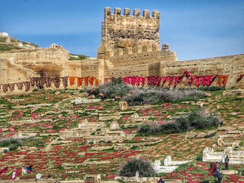 Những xưởng thuộc da truyền thống đẹp như họa phẩm ở Morocco - Ảnh 9. Những xưởng thuộc da truyền thống đẹp như họa phẩm ở Morocco - Ảnh 9.