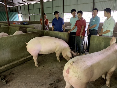 Thu nhập dưới 2 triệu đồng/người/tháng sẽ thuộc diện hộ nghèo - Ảnh 1. Thu nhập dưới 2 triệu đồng/người/tháng sẽ thuộc diện hộ nghèo - Ảnh 1.