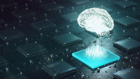 Neuralink tiết lộ kinh ngạc: ba chú heo con đã được cấy chip và khỏe mạnh - Ảnh 1. Neuralink tiết lộ kinh ngạc: ba chú heo con đã được cấy chip và khỏe mạnh - Ảnh 1.