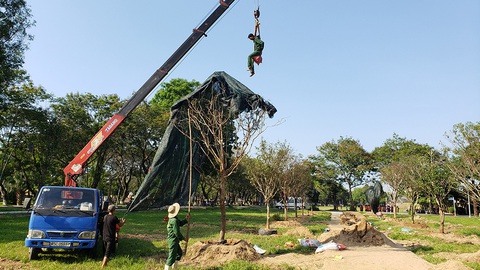 Chuyện chưa kể về cây trái cố đô Huế - Kỳ cuối: Bồi đắp cho Huế xanh - Ảnh 3. Chuyện chưa kể về cây trái cố đô Huế - Kỳ cuối: Bồi đắp cho Huế xanh - Ảnh 3.