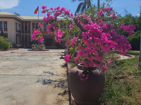 Trồng hoa trong lu dọc đường: đa số người dân ủng hộ vì đẹp đường sá, đẹp làng quê - Ảnh 2. Trồng hoa trong lu dọc đường: đa số người dân ủng hộ vì đẹp đường sá, đẹp làng quê - Ảnh 2.