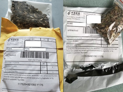 Hạt giống lạ gửi từ Trung Quốc nghi để câu review ảo - Ảnh 1. Hạt giống lạ gửi từ Trung Quốc nghi để câu review ảo - Ảnh 1.