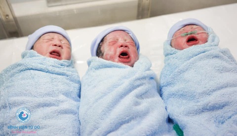 Ca sinh 3 tự nhiên hiếm gặp, hai bé sinh trong bọc điều - Ảnh 1. Ca sinh 3 tự nhiên hiếm gặp, hai bé sinh trong bọc điều - Ảnh 1.