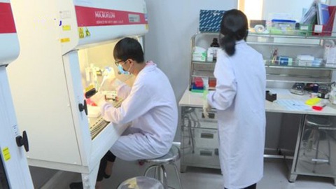 Viện Pasteur Nha Trang xét nghiệm COVID-19 trở lại - Ảnh 1. Viện Pasteur Nha Trang xét nghiệm COVID-19 trở lại - Ảnh 1.