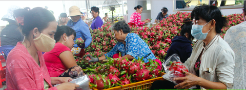 Giúp đại bàng, chim sẻ cùng đi cao tốc EVFTA - Ảnh 1. Giúp đại bàng, chim sẻ cùng đi cao tốc EVFTA - Ảnh 1.