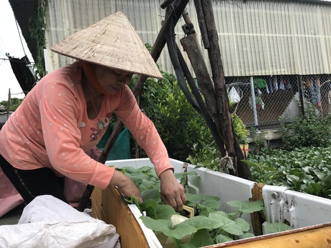Đời ve chai - tìm miếng ăn từ rác - Kỳ cuối: Nước mắt, nụ cười xóm ve chai - Ảnh 1. Đời ve chai - tìm miếng ăn từ rác - Kỳ cuối: Nước mắt, nụ cười xóm ve chai - Ảnh 1.