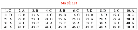 Gợi ý bài giải môn toán thi tốt nghiệp THPT 2020 - đủ 24 mã đề - Ảnh 8. Gợi ý bài giải môn toán thi tốt nghiệp THPT 2020 - đủ 24 mã đề - Ảnh 8.