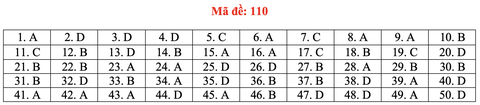 Gợi ý bài giải môn toán thi tốt nghiệp THPT 2020 - đủ 24 mã đề - Ảnh 15.