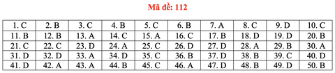 Gợi ý bài giải môn toán thi tốt nghiệp THPT 2020 - đủ 24 mã đề - Ảnh 17.