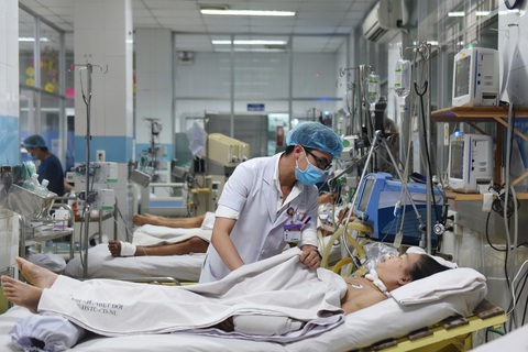 Thuốc giải độc tố trong patê Minh Chay: rất hiếm, giá 185 triệu đồng/lọ - Ảnh 1. Thuốc giải độc tố trong patê Minh Chay: rất hiếm, giá 185 triệu đồng/lọ - Ảnh 1.