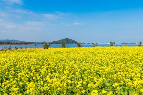 Top 5 vịnh thiên đường biển châu Á nhất định phải đến sau COVID-19 - Ảnh 2. Top 5 vịnh thiên đường biển châu Á nhất định phải đến sau COVID-19 - Ảnh 2.