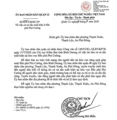 Quận 12 cảnh báo thông tin có cá sấu trên sông Sài Gòn - Ảnh 1. Quận 12 cảnh báo thông tin có cá sấu trên sông Sài Gòn - Ảnh 1.