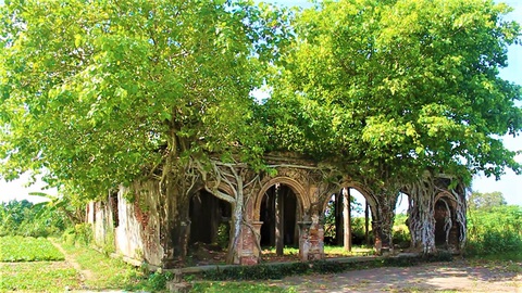 Trùng tu ngôi đình hơn 100 tuổi, giữ nguyên hai cây bồ đề độc đáo trên nóc - Ảnh 1. Trùng tu ngôi đình hơn 100 tuổi, giữ nguyên hai cây bồ đề độc đáo trên nóc - Ảnh 1.
