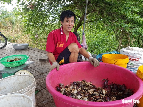 Lũ về trễ, cua đồng, cá linh non ít nên giá trên trời - Ảnh 6. Lũ về trễ, cua đồng, cá linh non ít nên giá trên trời - Ảnh 6.