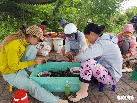 Lũ về trễ, cua đồng, cá linh non ít nên giá trên trời - Ảnh 4. Lũ về trễ, cua đồng, cá linh non ít nên giá trên trời - Ảnh 4.