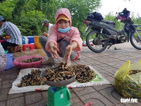 Lũ về trễ, cua đồng, cá linh non ít nên giá trên trời - Ảnh 1. Lũ về trễ, cua đồng, cá linh non ít nên giá trên trời - Ảnh 1.