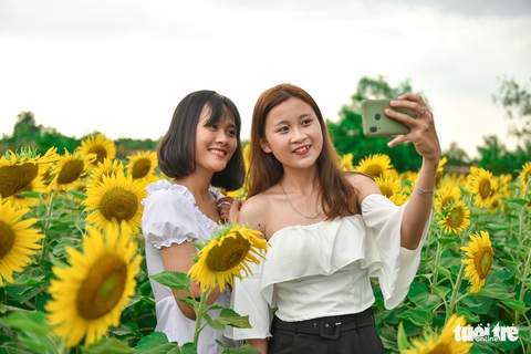 Thỏa thích tung tẩy giữa cánh đồng hoa rực rỡ tại quận 9 - Ảnh 1. Thỏa thích tung tẩy giữa cánh đồng hoa rực rỡ tại quận 9 - Ảnh 1.