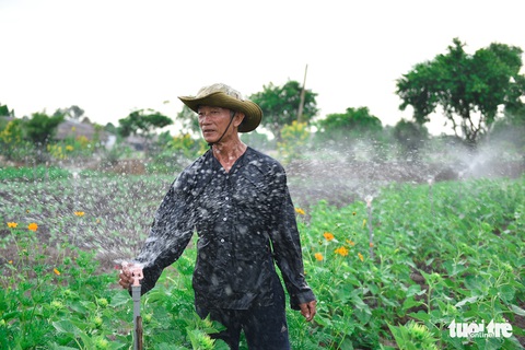 Thỏa thích tung tẩy giữa cánh đồng hoa rực rỡ tại quận 9 - Ảnh 10. Thỏa thích tung tẩy giữa cánh đồng hoa rực rỡ tại quận 9 - Ảnh 10.
