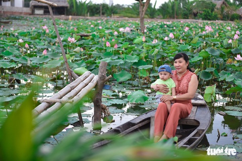 Thỏa thích tung tẩy giữa cánh đồng hoa rực rỡ tại quận 9 - Ảnh 8. Thỏa thích tung tẩy giữa cánh đồng hoa rực rỡ tại quận 9 - Ảnh 8.