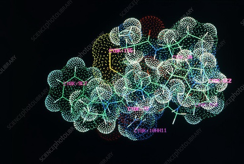 Bí mật của COVID-19: Đã có bão cytokine lại còn thêm bão bradykinin - Ảnh 2. Bí mật của COVID-19: Đã có bão cytokine lại còn thêm bão bradykinin - Ảnh 2.