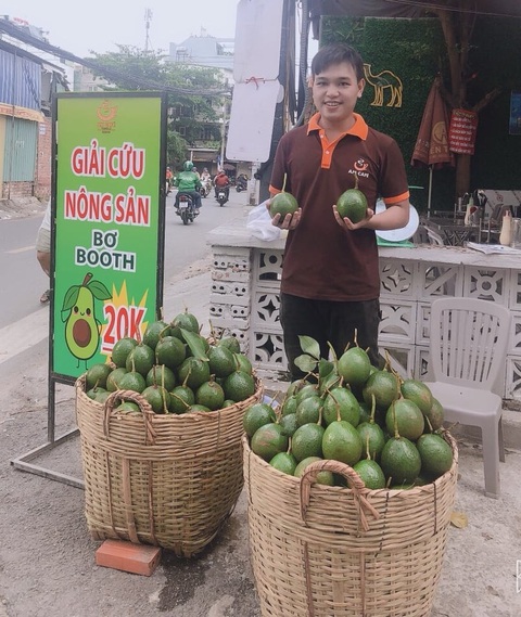 Giá rẻ ê chề, lại bắt đầu giải cứu bơ booth - Ảnh 2. Giá rẻ ê chề, lại bắt đầu giải cứu bơ booth - Ảnh 2.