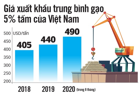 Gạo Việt đừng mải mê sản lượng - Ảnh 4. Gạo Việt đừng mải mê sản lượng - Ảnh 4.