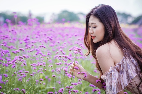 Cánh đồng hoa oải hương thảo đầu tiên tại Hà Nội hút hồn du khách - Ảnh 4. Cánh đồng hoa oải hương thảo đầu tiên tại Hà Nội hút hồn du khách - Ảnh 4.
