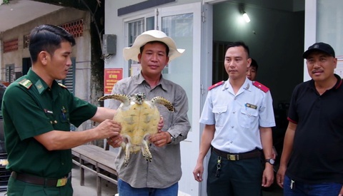 Một người dân bỏ tiền túi mua đồi mồi quý hiếm thả về biển - Ảnh 1. Một người dân bỏ tiền túi mua đồi mồi quý hiếm thả về biển - Ảnh 1.