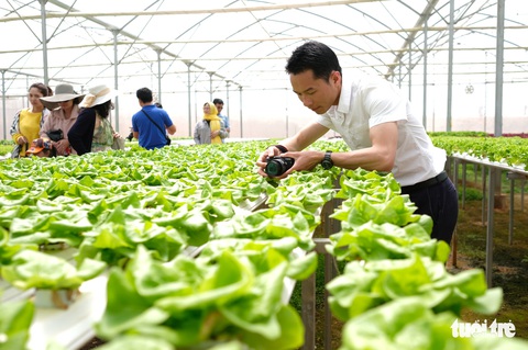 Lo ngại xây dựng trái phép, Đà Lạt dừng phát triển du lịch canh nông - Ảnh 2. Lo ngại xây dựng trái phép, Đà Lạt dừng phát triển du lịch canh nông - Ảnh 2.