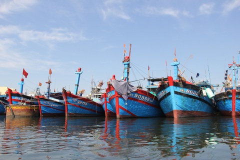 tau thuyen da nang tau thuyen da nang