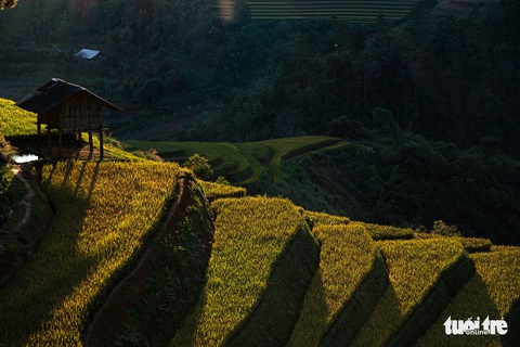 Đuổi theo mặt trời ngắm ruộng bậc thang đẹp như tranh vẽ - Ảnh 7. Đuổi theo mặt trời ngắm ruộng bậc thang đẹp như tranh vẽ - Ảnh 7.