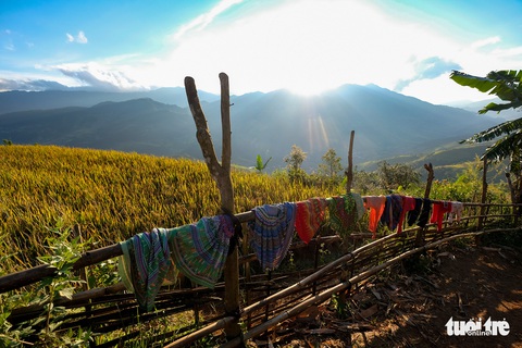 Đuổi theo mặt trời ngắm ruộng bậc thang đẹp như tranh vẽ - Ảnh 6. Đuổi theo mặt trời ngắm ruộng bậc thang đẹp như tranh vẽ - Ảnh 6.