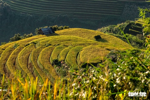 Đuổi theo mặt trời ngắm ruộng bậc thang đẹp như tranh vẽ - Ảnh 4. Đuổi theo mặt trời ngắm ruộng bậc thang đẹp như tranh vẽ - Ảnh 4.