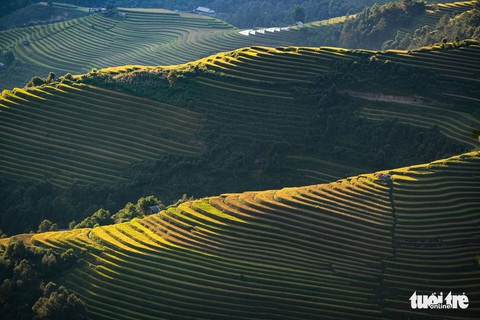 Đuổi theo mặt trời ngắm ruộng bậc thang đẹp như tranh vẽ - Ảnh 2. Đuổi theo mặt trời ngắm ruộng bậc thang đẹp như tranh vẽ - Ảnh 2.