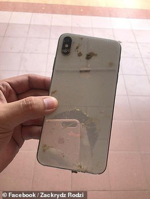 Tìm lại được điện thoại bị mất thì thấy toàn hình tự sướng của... khỉ - Ảnh 2. Tìm lại được điện thoại bị mất thì thấy toàn hình tự sướng của... khỉ - Ảnh 2.