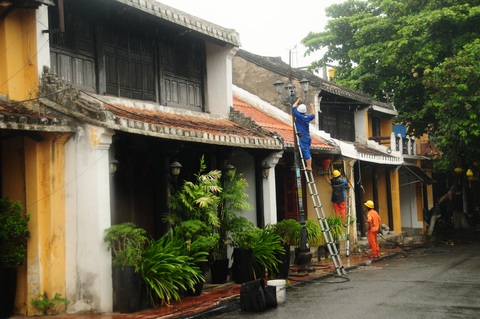 Nông dân hối hả gặt lúa sớm, phố cổ đốn bớt cây tránh bão - Ảnh 7. Nông dân hối hả gặt lúa sớm, phố cổ đốn bớt cây tránh bão - Ảnh 7.